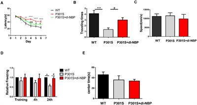 Dl-3-n-Butylphthalide Reduces Cognitive Deficits and Alleviates Neuropathology in P301S Tau Transgenic Mice